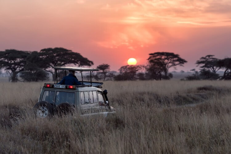 going on safari in the maasai mara