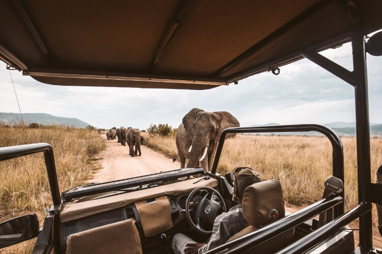going on safari in the maasai mara