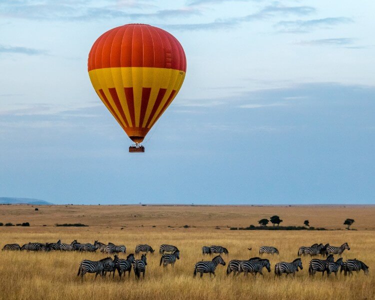 going on safari in the maasai mara